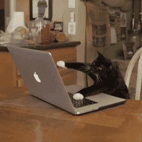 A black cat with white paws sitting at a wooden table and actively typing on a open silver laptop.