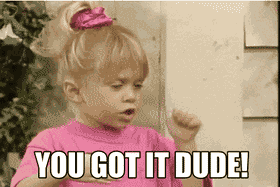 A young Michelle Tanner from the TV show Full House gives a thumbs-up gesture while wearing a pink shirt and hair scrunchie, with the bottom caption reading "YOU GOT IT DUDE!"